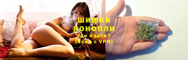 СК Козловка