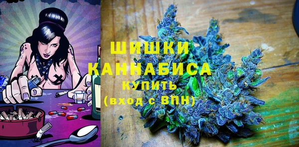 стаф Кинешма
