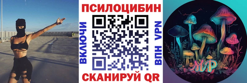 купить наркотики цена  Элиста  Псилоцибиновые грибы Psilocybe 