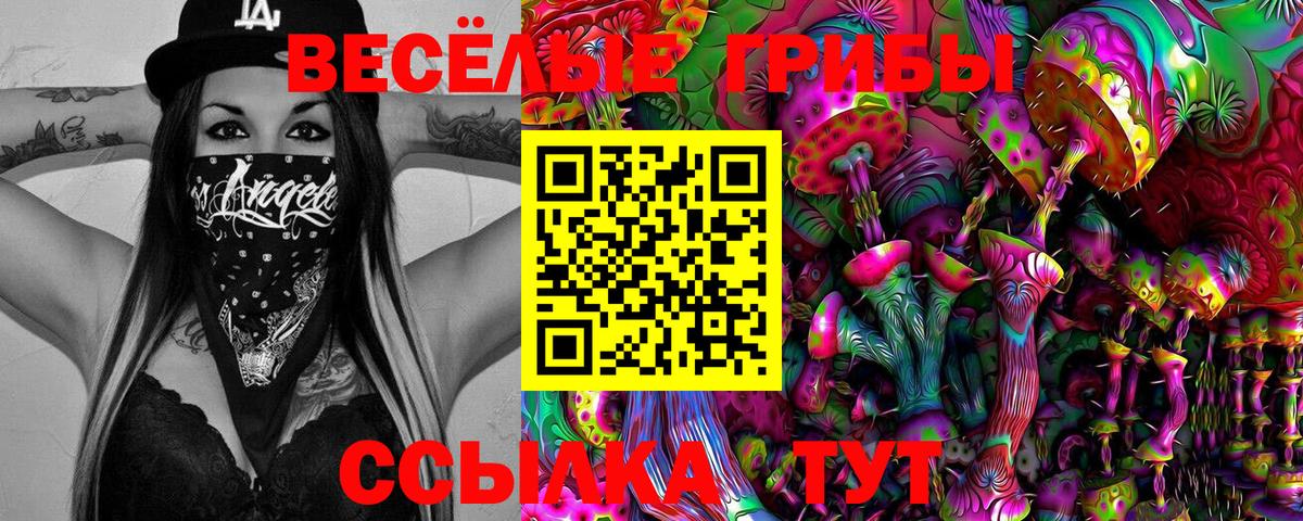 Псилоцибиновые грибы MAGIC MUSHROOMS Элиста